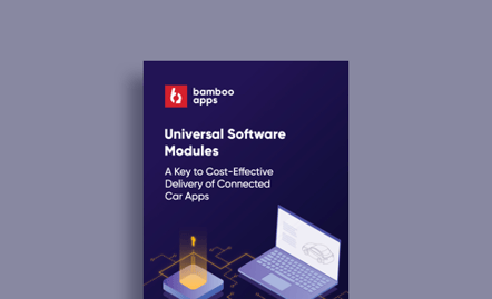 software